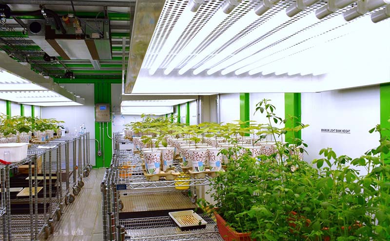 controlled-environment-agricultural-research-biora-plant-research