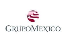 Grupo-Mexico_logo