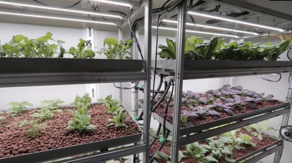 Vertical Farming within a Controlled Environment