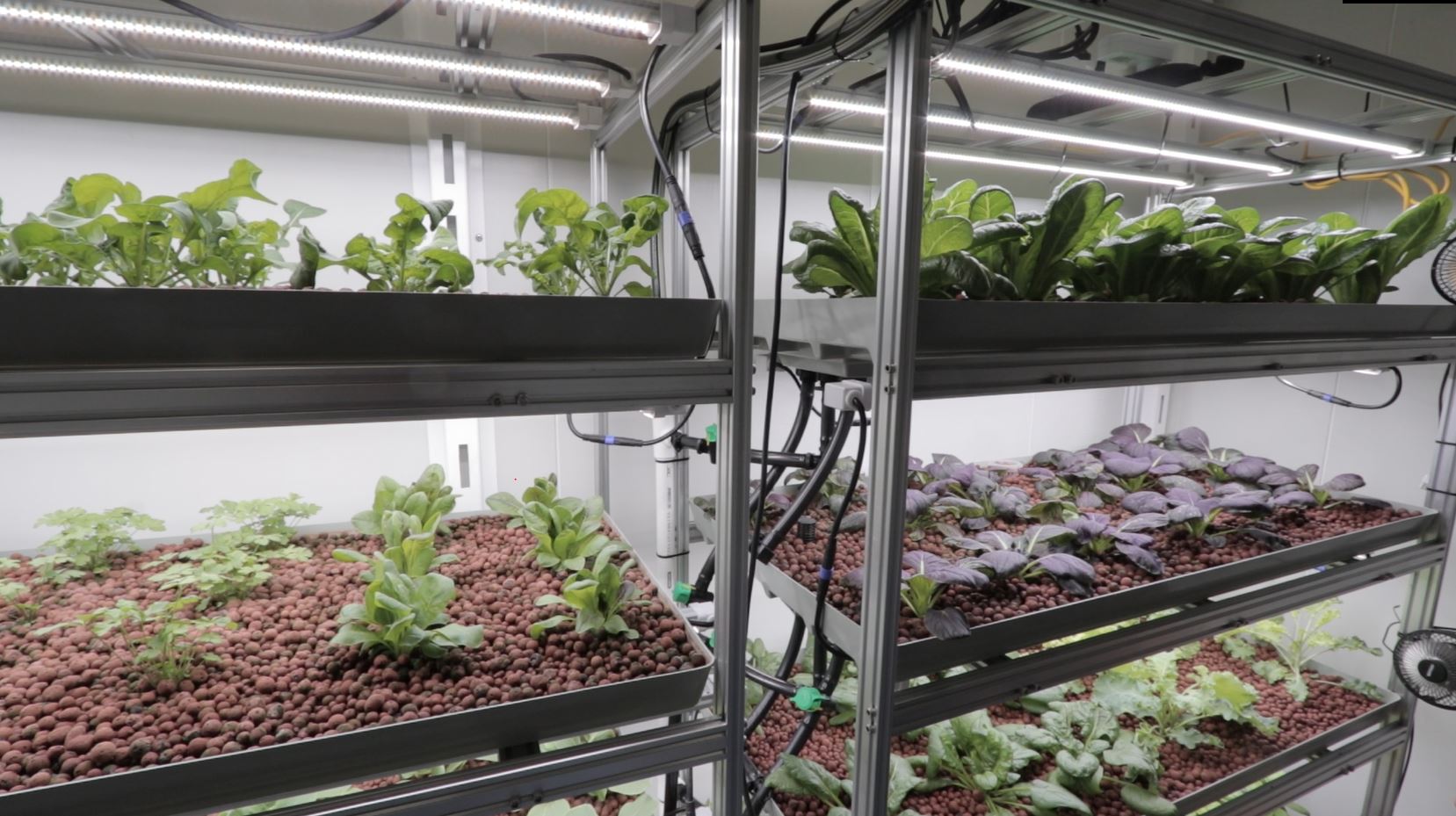 Vertical Farming - The Evolution of Food Supply Using Controlled ...