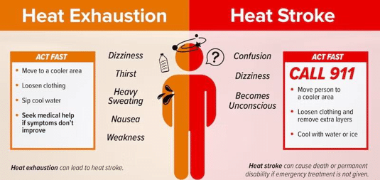 the-effects-of-heat-stress-on-the-human-body