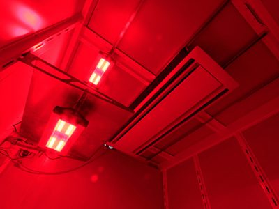 Research-Grade-LED-Lighting-Red-Biora